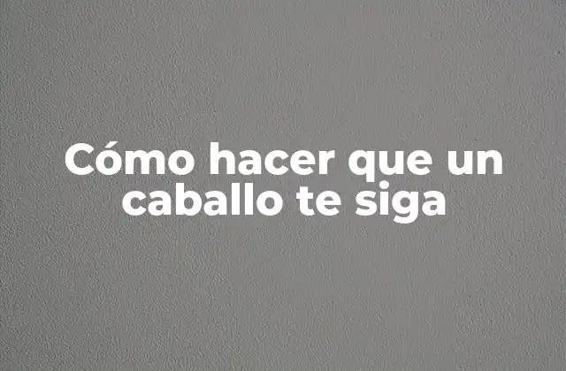 Cómo Hacer que un Caballo Te Siga