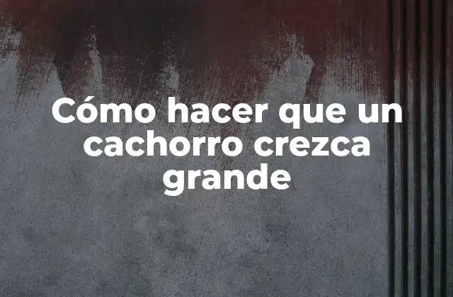 Cómo Hacer que un Cachorro Crezca Grande