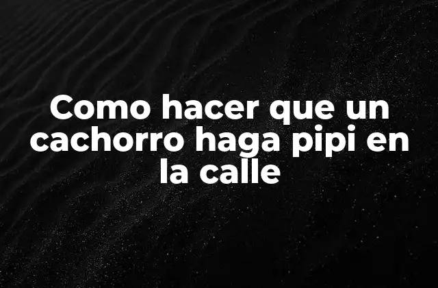 Como Hacer que un Cachorro Haga Pipi en la Calle