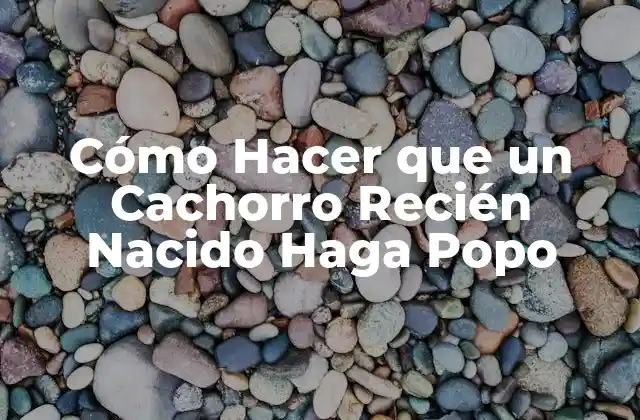 Cómo Hacer que un Cachorro Recién Nacido Haga Popo