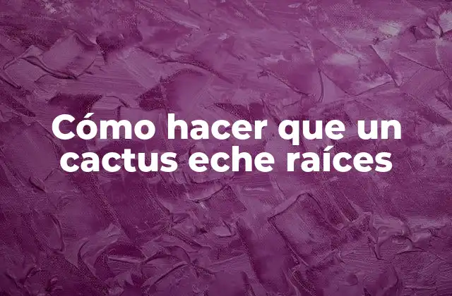 Cómo Hacer que un Cactus Eche Raíces