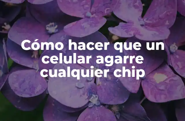 Cómo Hacer que un Celular Agarre Cualquier Chip