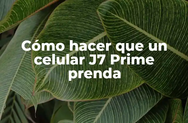 Cómo Hacer que un Celular J7 Prime Prenda