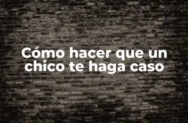 Cómo Hacer que un Chico Te Haga Caso