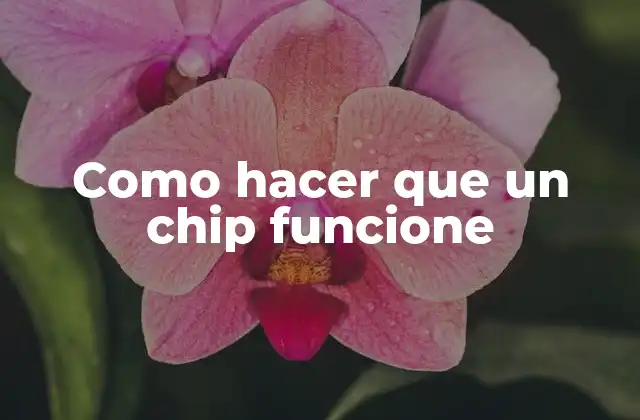 Como Hacer que un Chip Funcione