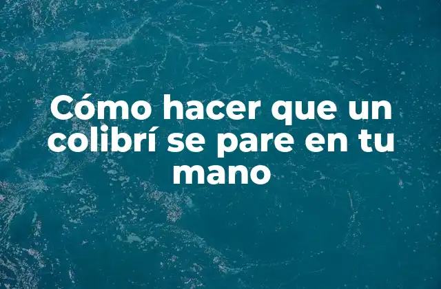 Cómo Hacer que un Colibrí Se Pare en Tu Mano