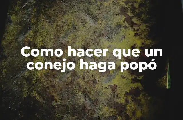 Como Hacer que un Conejo Haga Popó