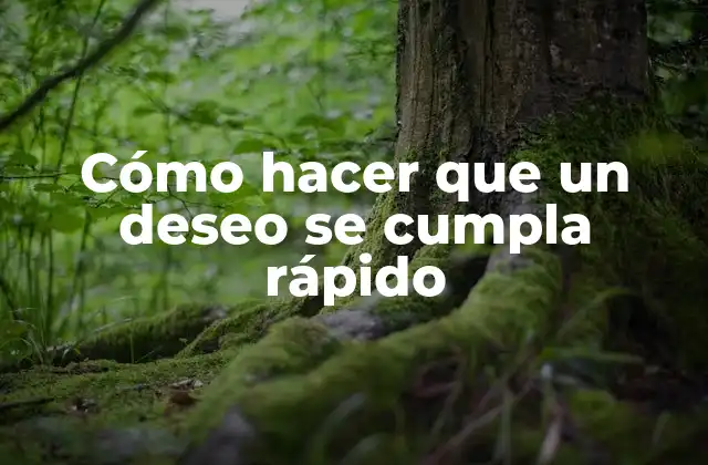 Cómo Hacer que un Deseo Se Cumpla Rápido