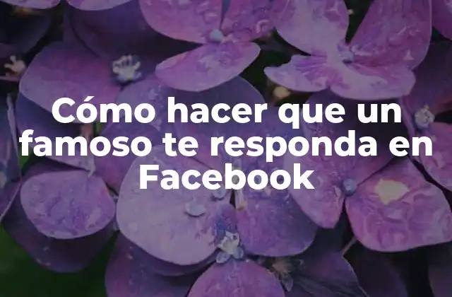 Cómo Hacer que un Famoso Te Responda en Facebook
