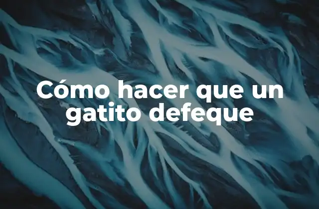 Cómo Hacer que un Gatito Defeque
