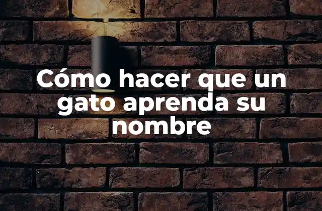 Cómo Hacer que un Gato Aprenda Su Nombre