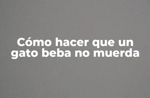 Cómo Hacer que un Gato Beba No Muerda