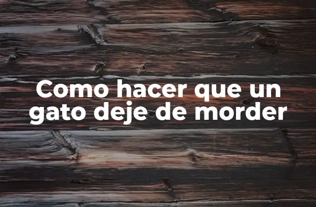 Como Hacer que un Gato Deje de Morder