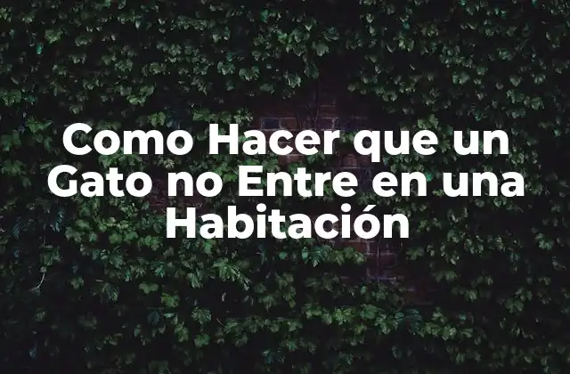 Como Hacer que un Gato No entre en una Habitación