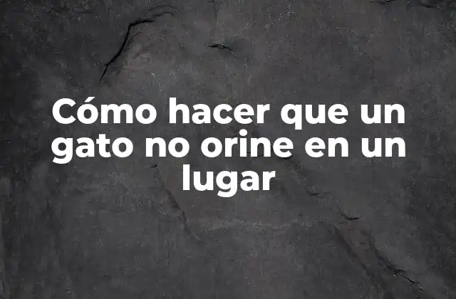 Cómo Hacer que un Gato No Orine en un Lugar