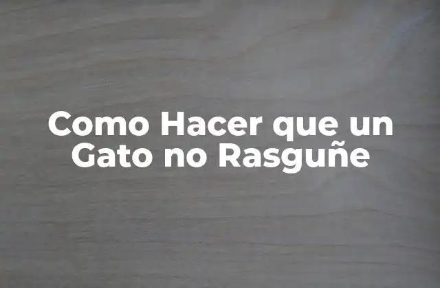 Como Hacer que un Gato No Rasguñe