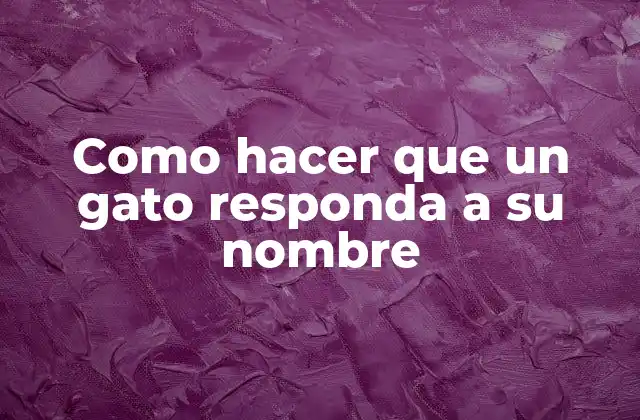 Como Hacer que un Gato Responda a Su Nombre