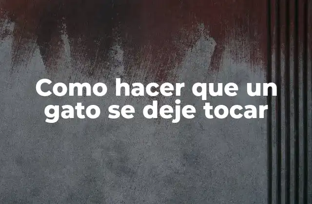 Como Hacer que un Gato Se Deje Tocar