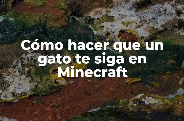 Cómo Hacer que un Gato Te Siga en Minecraft