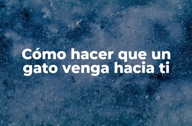 Cómo Hacer que un Gato Venga hacia Ti