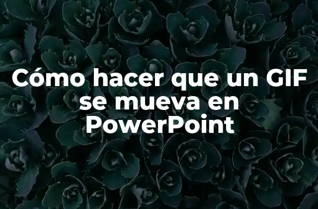 Cómo Hacer que un Gif Se Mueva en Powerpoint