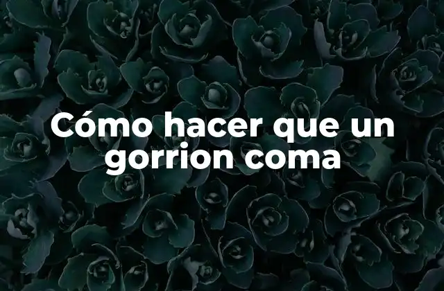 Cómo Hacer que un Gorrion Coma