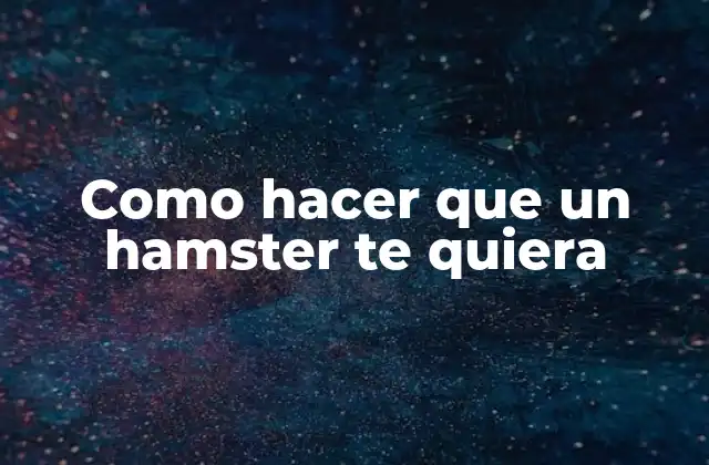 Como Hacer que un Hamster Te Quiera