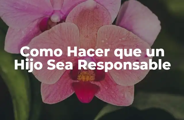 Como Hacer que un Hijo Sea Responsable