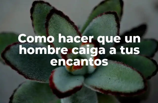 Como Hacer que un Hombre Caiga a Tus Encantos