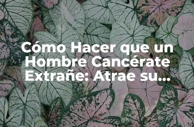 Cómo Hacer que un Hombre Cancérate Extrañe: Atrae Su Atención de Nuevo