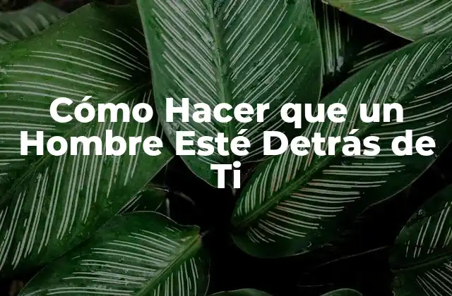Cómo Hacer que un Hombre Esté Detrás de Ti