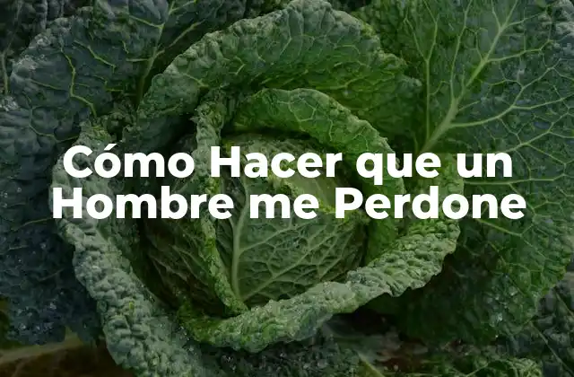 Cómo Hacer que un Hombre Me Perdone