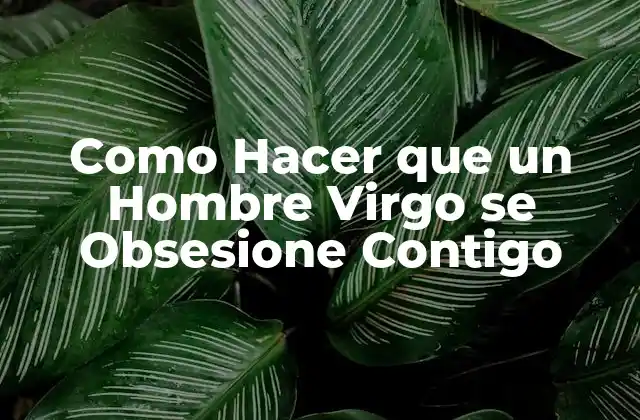 Como Hacer que un Hombre Virgo Se Obsesione Contigo