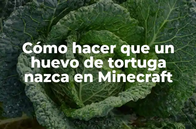 Cómo Hacer que un Huevo de Tortuga Nazca en Minecraft