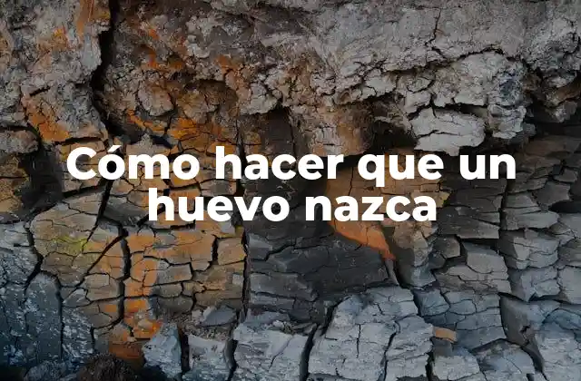 Cómo hacer que un huevo nazca