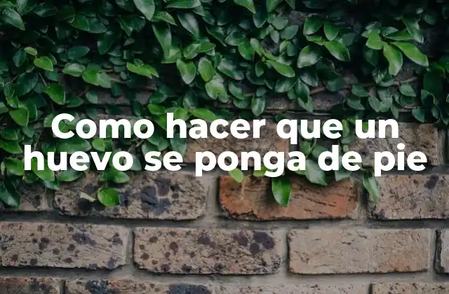 Como Hacer que un Huevo Se Ponga de Pie