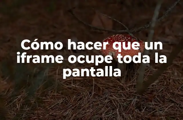 Cómo Hacer que un Iframe Ocupe Toda la Pantalla 2 ¿Qué es un iframe y para qué sirve?