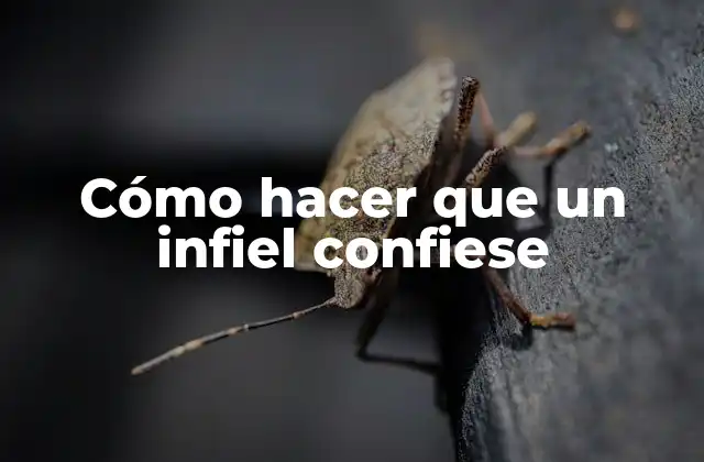 Cómo Hacer que un Infiel Confiese