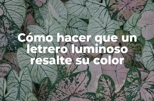 Cómo Hacer que un Letrero Luminoso Resalte Su Color