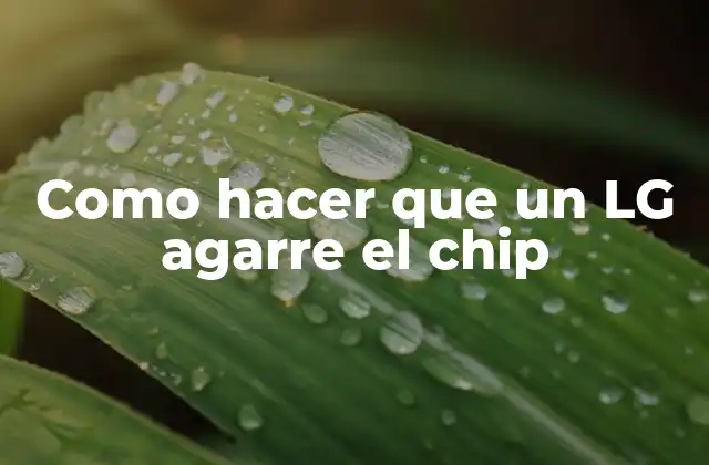 Como Hacer que un Lg Agarre el Chip