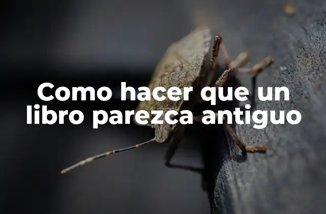 Como Hacer que un Libro Parezca Antiguo