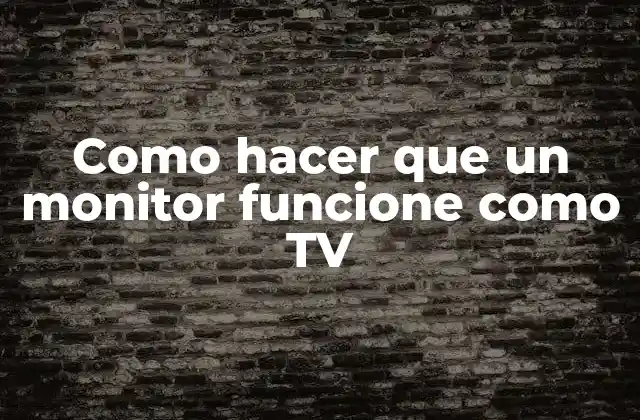 Como Hacer que un Monitor Funcione como Tv