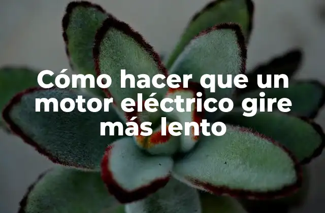 Cómo Hacer que un Motor Eléctrico Gire Más Lento