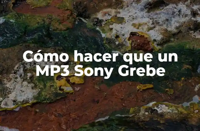¿Qué es un MP3 Sony Grebe?
