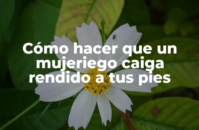 Cómo Hacer que un Mujeriego Caiga Rendido a Tus Pies