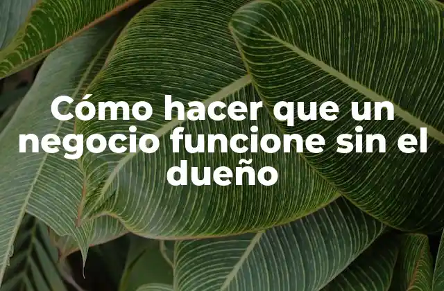 Cómo Hacer que un Negocio Funcione sin el Dueño