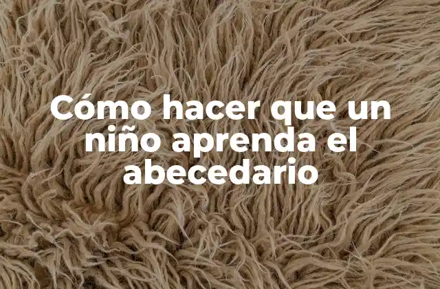 Cómo Hacer que un Niño Aprenda el Abecedario
