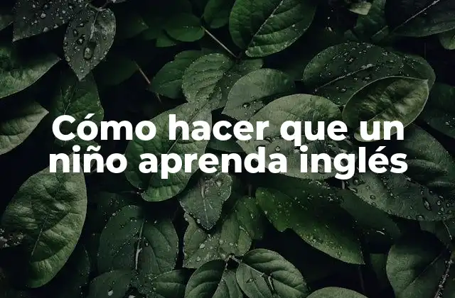 Cómo Hacer que un Niño Aprenda Inglés
