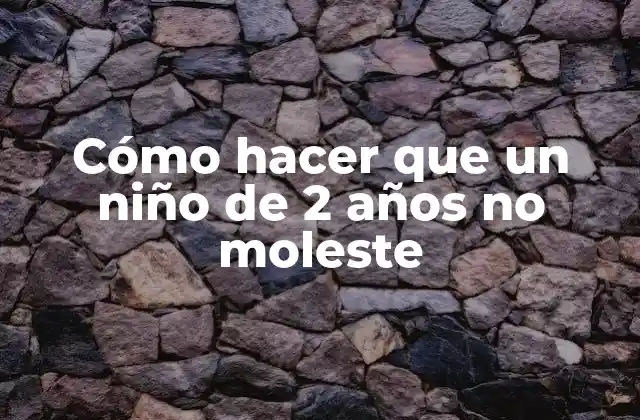 Cómo Hacer que un Niño de 2 Años No Moleste