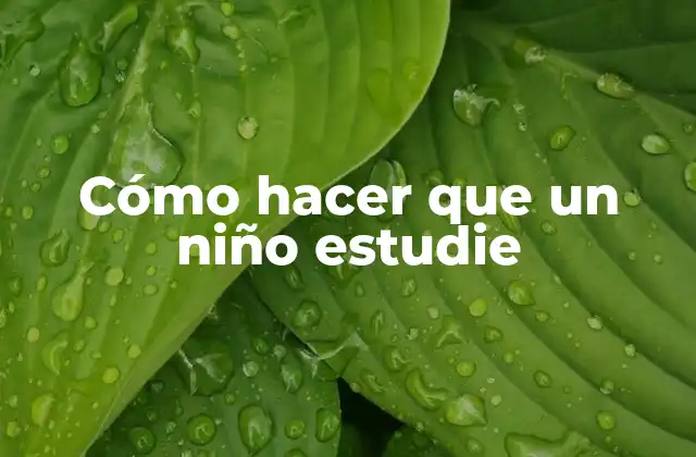 Cómo Hacer que un Niño Estudie